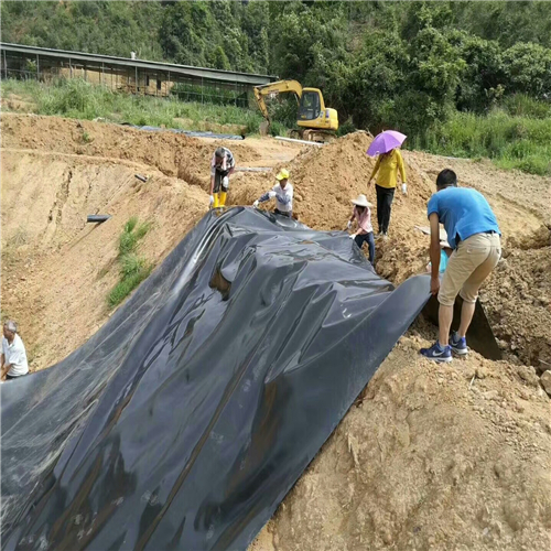 魚(yú)塘防滲膜